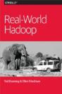 Realâ€“World Hadoop - Preview