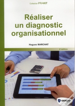 Capa do artigo Realiser Un Diagnostic Organisationnel