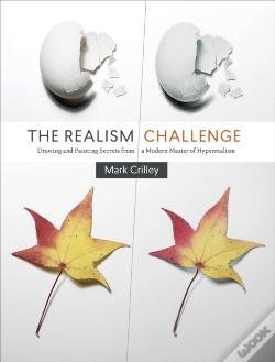Capa do artigo Realism Challenge