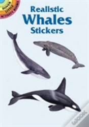 Capa do artigo Realistic Whales Stickers