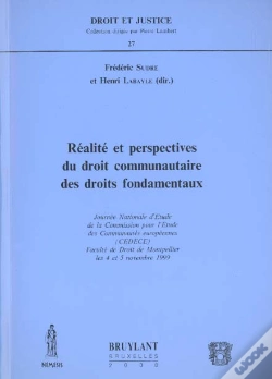 Capa do artigo Realite Et Perspectives Du Droit Communautaire Des Droits Fondamentaux