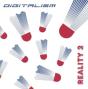 Reality 2 - Vinil - Preview