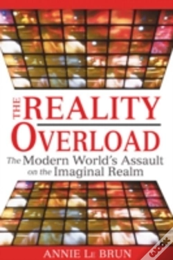 Capa do artigo Reality Overload