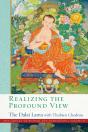 Realizing The Profound View - Preview