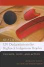 Realizing The Un Declaration On The Rights Of Indigenous Peoples - Preview