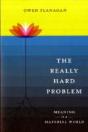 Really Hard Problem - Preview