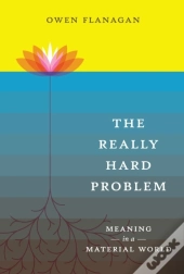 Really Hard Problem