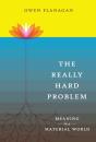 Really Hard Problem - Preview