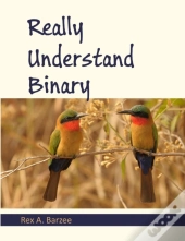 Really Understand Binary