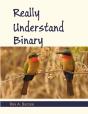 Really Understand Binary - Preview