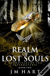 Capa do artigo Realm Of Lost Souls