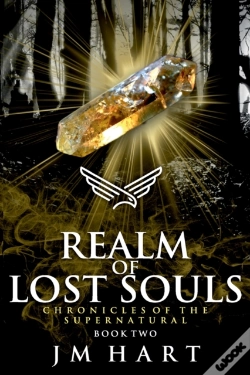 Capa do artigo Realm Of Lost Souls