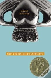 Capa do artigo Realm Of Possibility