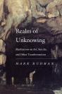 Realm Of Unknowing - Preview