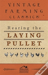 Rearing The Laying Pullet
