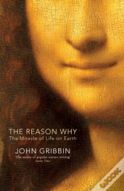 Capa do artigo Reason Why