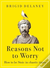 Capa do artigo Reasons Not To Worry