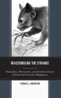 Reassembling The Strange - Preview