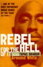 Rebel For The Hell Of It - Preview