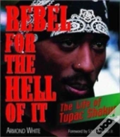 Rebel For The Hell Of It