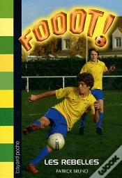 Capa do artigo Rebelles N30
