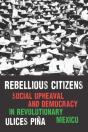 Rebellious Citizens - Preview