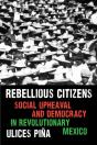 Rebellious Citizens - Preview