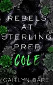 Rebels At Sterling Prep