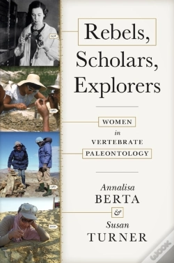 Capa do artigo Rebels, Scholars, Explorers