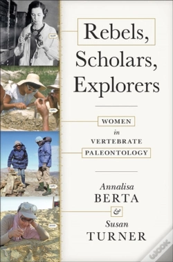 Capa do artigo Rebels, Scholars, Explorers