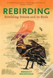 Rebirding