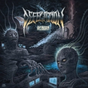Capa do artigo Reborn - Vinil