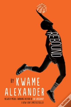 Capa do artigo Rebound