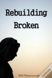 Capa do artigo Rebuilding Broken