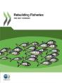 Rebuilding Fisheries:  The Way Forward - Preview