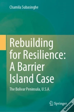 Capa do artigo Rebuilding For Resilience: A Barrier Island Case