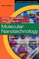 Recent Advances And Issues In Molecular Nanotechnology