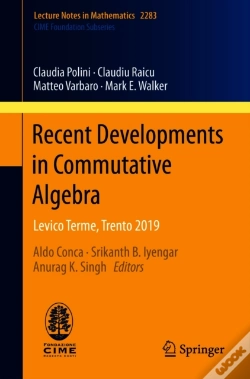 Capa do artigo Recent Developments In Commutative Algebra