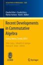 Recent Developments In Commutative Algebra - Preview