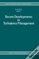 Recent Developments In Turbulence Management