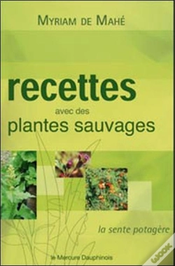 Capa do artigo Recettes Avec Des Plantes Sauvages