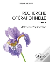 Recherche Opérationnelle - Tome 1 : Programmation Linéaire. Optimisation Combinatoire. Programmation Dynamique. Graphes. Métaheuristiques