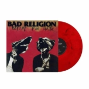 Capa do artigo Recipe for Hate - Vinil
