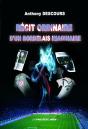 Récit Ordinaire D'Un Bordelais Imaginaire - Preview