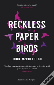 Capa do artigo Reckless Paper Birds