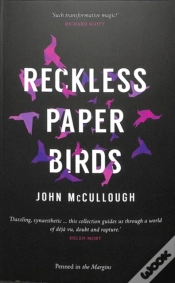 Capa do artigo Reckless Paper Birds