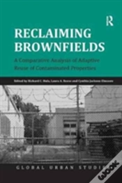 Capa do artigo Reclaiming Brownfields