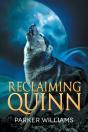 Reclaiming Quinn - Preview