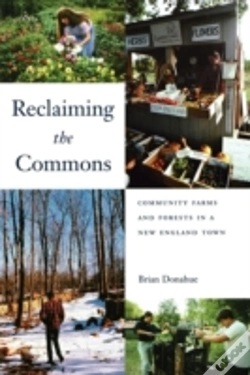 Capa do artigo Reclaiming The Commons