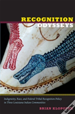 Capa do artigo Recognition Odysseys